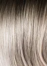 Polar Silver/Shad
